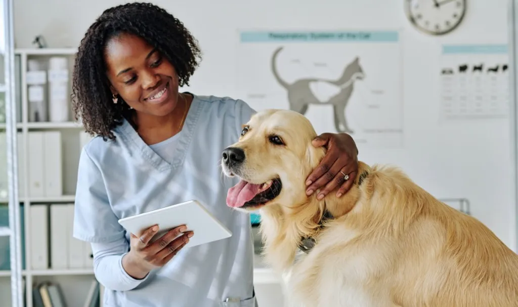 gettyimages-1423830925-e1702397576647 A vet hugging a Golden Retriever in an exam room while looking at a paper describing Gabapentin Dosage for dogs.