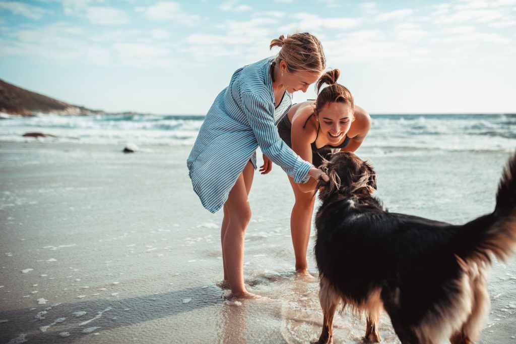 gettyimages-1263882405_81135e Two young women playing with the dog on the beach